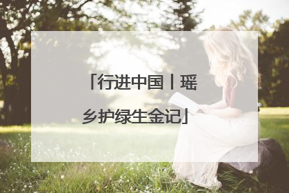 行进中国丨瑶乡护绿生金记