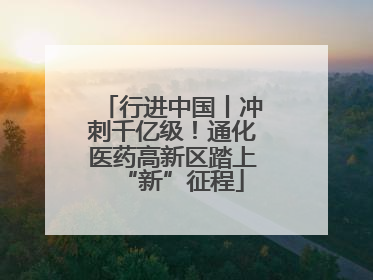 行进中国丨冲刺千亿级！通化医药高新区踏上“新”征程
