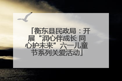 衡东县民政局：开展“润心伴成长 同心护未来”六一儿童节系列关爱活动