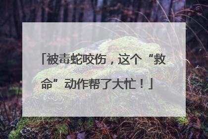 被毒蛇咬伤，这个“救命”动作帮了大忙！