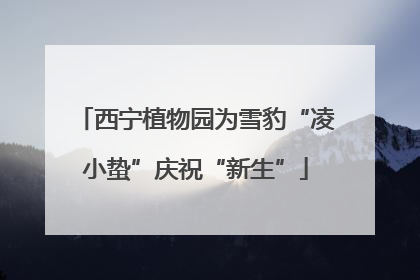 西宁植物园为雪豹“凌小蛰”庆祝“新生”