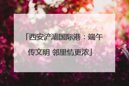 西安浐灞国际港：端午传文明 邻里情更浓