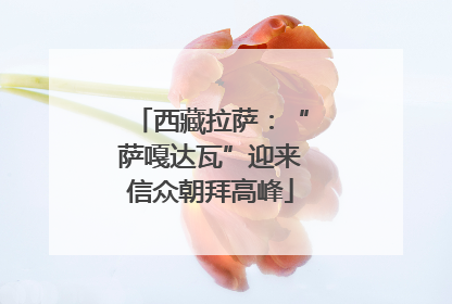 西藏拉萨：“萨嘎达瓦”迎来信众朝拜高峰