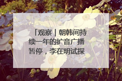 观察｜朝韩间持续一年的扩音广播暂停，李在明试探性将球踢向朝鲜