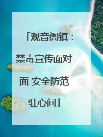 观音阁镇：禁毒宣传面对面 安全防范驻心间
