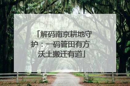 解码南京耕地守护：一码管田有方 沃土搬迁有道