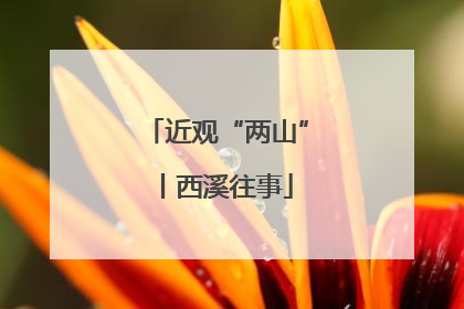 近观“两山”丨西溪往事