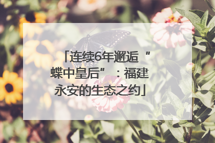 连续6年邂逅“蝶中皇后”：福建永安的生态之约