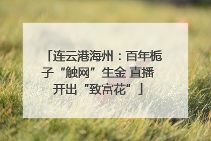 连云港海州：百年栀子“触网”生金 直播开出“致富花”