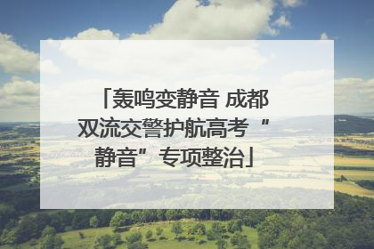 轰鸣变静音 成都双流交警护航高考“静音”专项整治