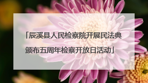 辰溪县人民检察院开展民法典颁布五周年检察开放日活动