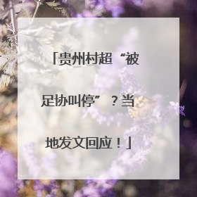 贵州村超“被足协叫停”？当地发文回应！