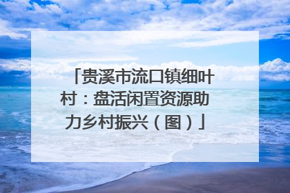 贵溪市流口镇细叶村：盘活闲置资源助力乡村振兴（图）