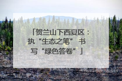 贺兰山下西夏区：执“生态之笔” 书写“绿色答卷”