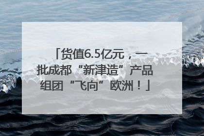 货值6.5亿元，一批成都“新津造”产品组团“飞向”欧洲！