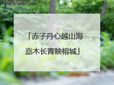 赤子丹心越山海 嘉木长青映榕城
