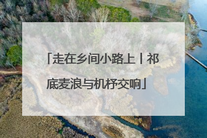 走在乡间小路上丨祁底麦浪与机杼交响