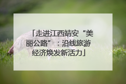 走进江西靖安“美丽公路”：沿线旅游经济焕发新活力
