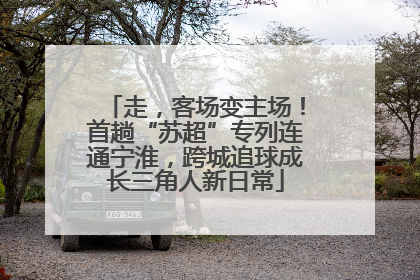 走，客场变主场！首趟“苏超”专列连通宁淮，跨城追球成长三角人新日常