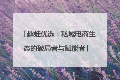 趣蛙优选：私域电商生态的破局者与赋能者
