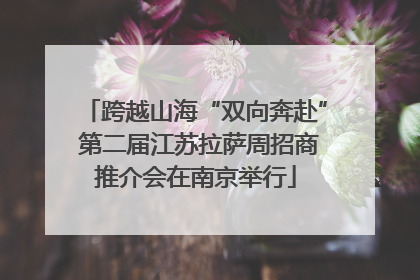 跨越山海“双向奔赴” 第二届江苏拉萨周招商推介会在南京举行