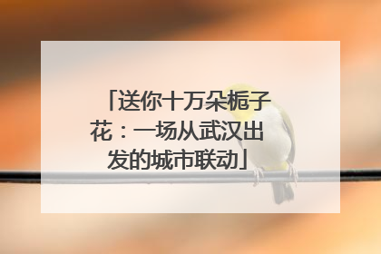 送你十万朵栀子花：一场从武汉出发的城市联动
