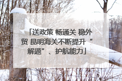 送政策 畅通关 稳外贸 昆明海关不断提升“解题”、护航能力