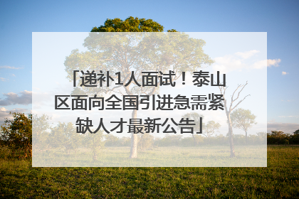 递补1人面试！泰山区面向全国引进急需紧缺人才最新公告