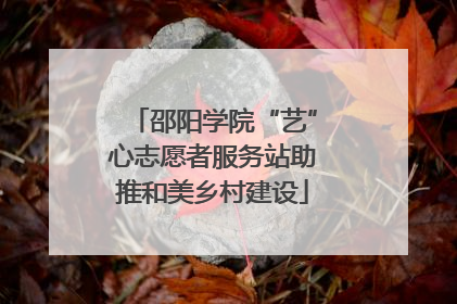 邵阳学院“艺”心志愿者服务站助推和美乡村建设