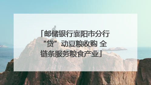 邮储银行襄阳市分行“贷”动夏粮收购 全链条服务粮食产业