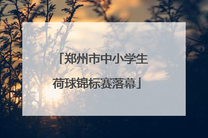 郑州市中小学生荷球锦标赛落幕