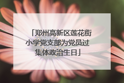 郑州高新区莲花街小学党支部为党员过集体政治生日