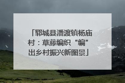郓城县潘渡镇杨庙村：草藤编织“编”出乡村振兴新图景