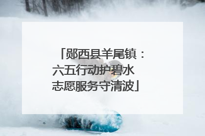 郧西县羊尾镇：六五行动护碧水 志愿服务守清波