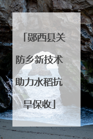 郧西县关防乡新技术助力水稻抗旱保收