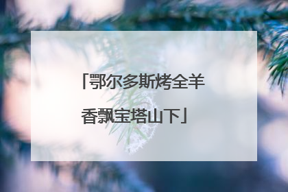鄂尔多斯烤全羊香飘宝塔山下