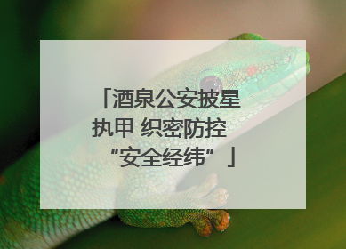 酒泉公安披星执甲 织密防控“安全经纬”