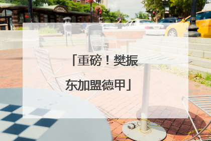 重磅！樊振东加盟德甲