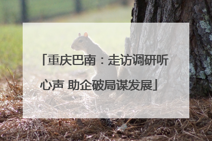 重庆巴南：走访调研听心声 助企破局谋发展