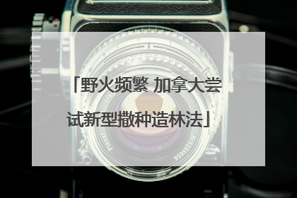 野火频繁 加拿大尝试新型撒种造林法