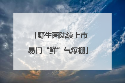 野生菌陆续上市 易门“鲜”气爆棚