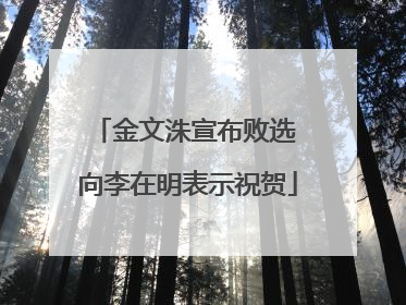 金文洙宣布败选 向李在明表示祝贺
