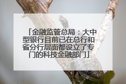 金融监管总局：大中型银行目前已在总行和省分行层面都设立了专门的科技金融部门