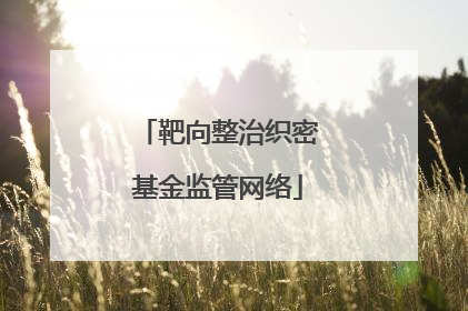 靶向整治织密基金监管网络