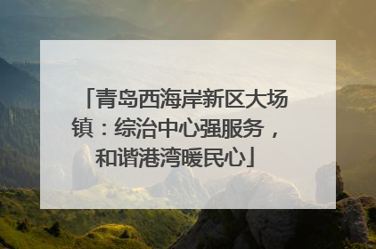 青岛西海岸新区大场镇：综治中心强服务，和谐港湾暖民心