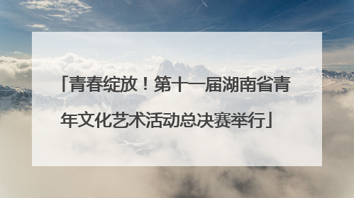 青春绽放！第十一届湖南省青年文化艺术活动总决赛举行