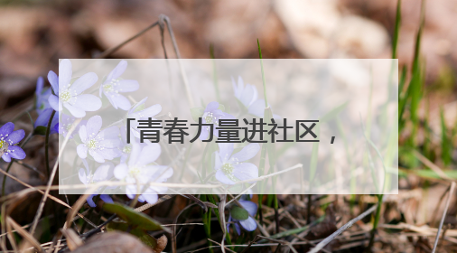 青春力量进社区，专业服务暖民心
