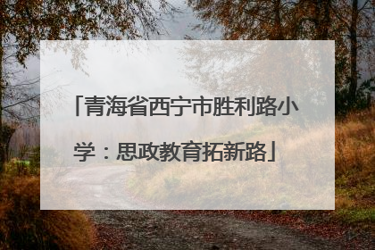 青海省西宁市胜利路小学：思政教育拓新路