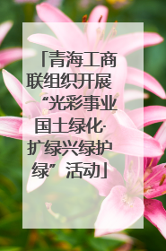 青海工商联组织开展“光彩事业国土绿化·扩绿兴绿护绿”活动