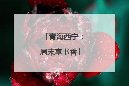 青海西宁：周末享书香